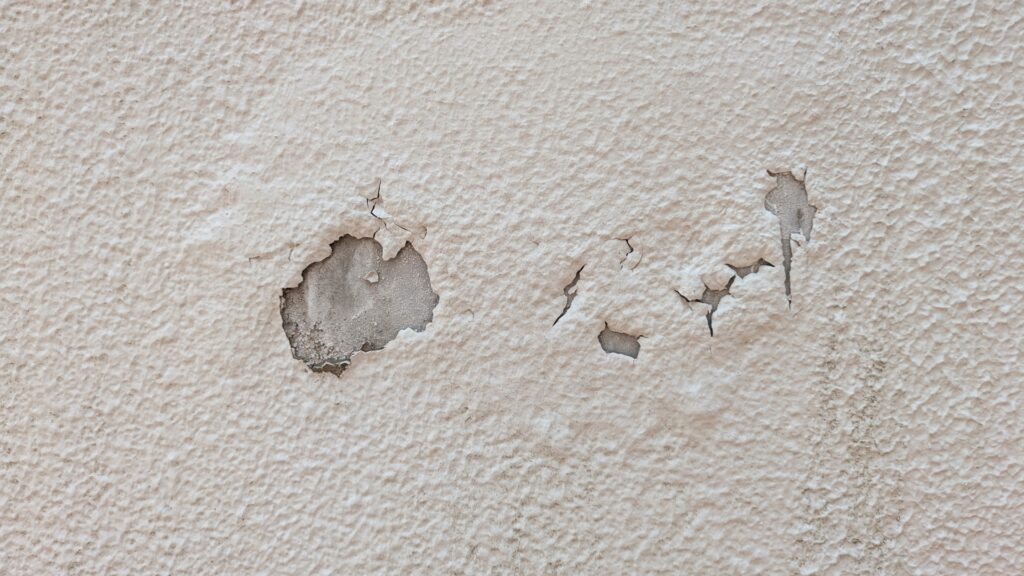 塗膜の剥がれ・浮き|緊急度:高