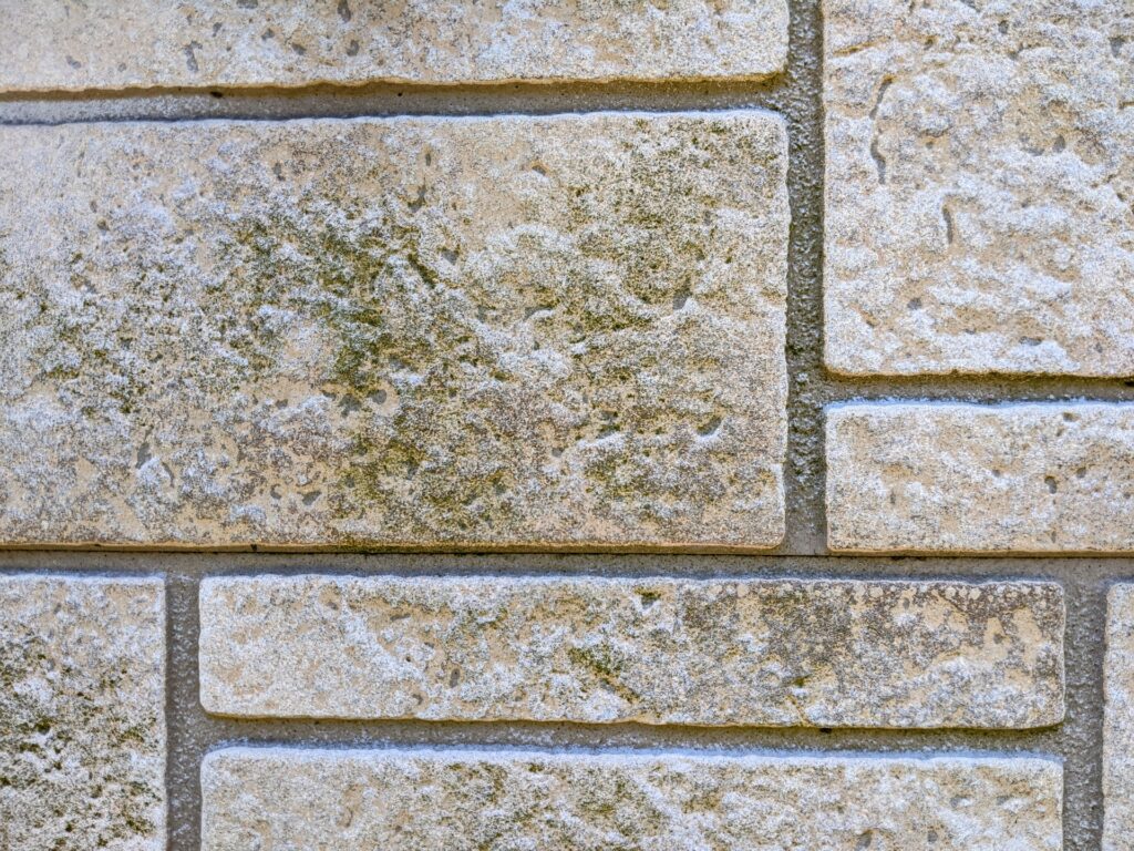 カビ・コケ・藻の発生|緊急度:中