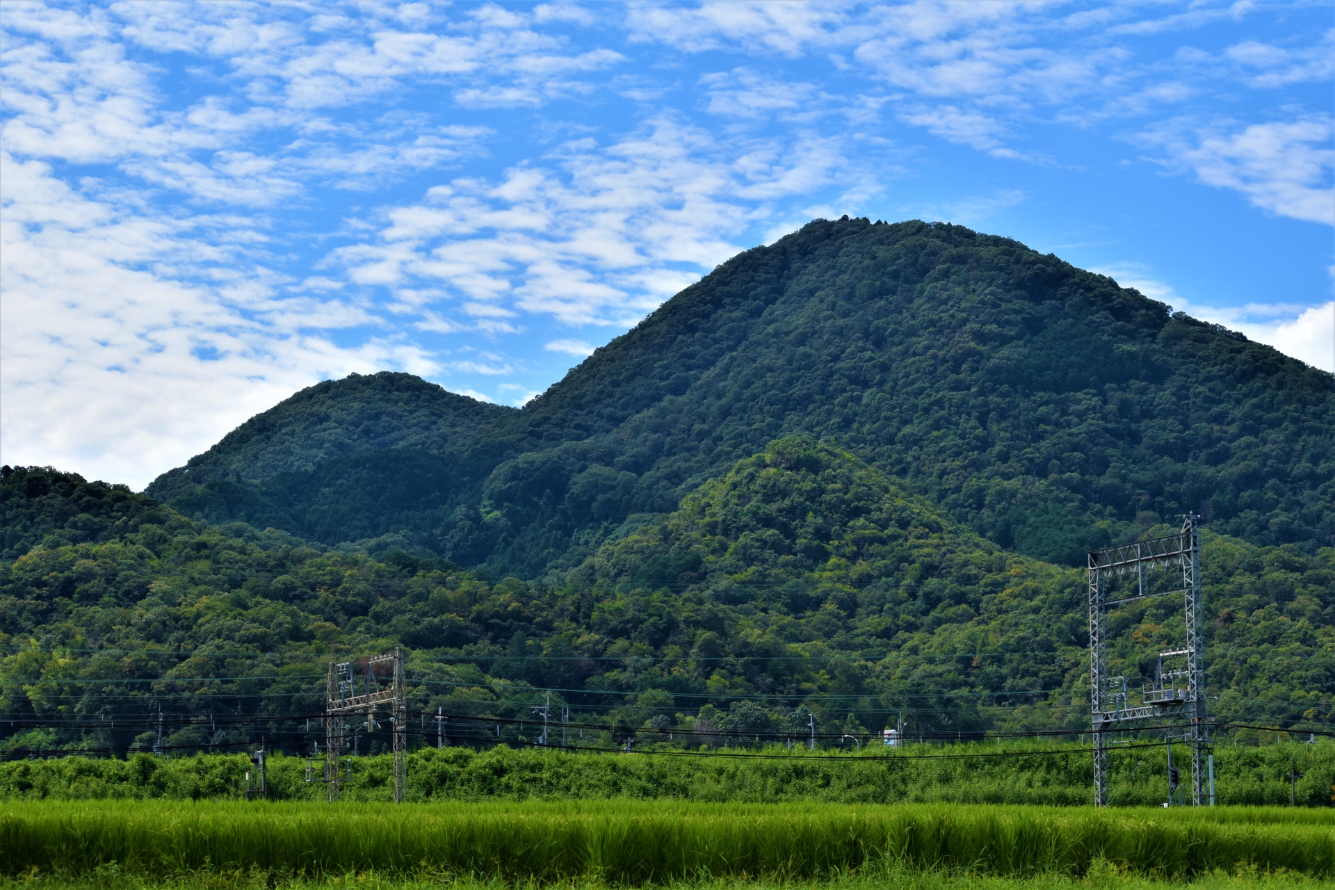 太子町の立地・環境別に見る塗料選びのポイント